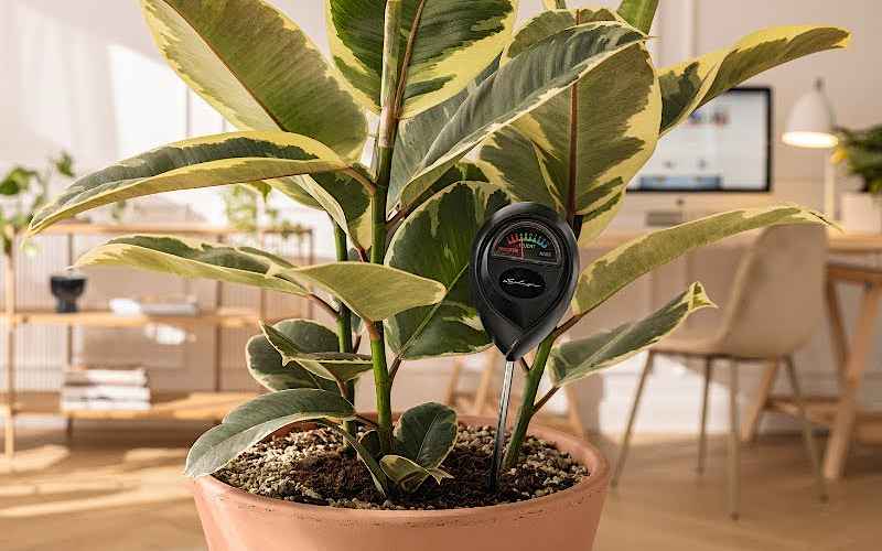 LECHUZA Moisture Meter for Plants-Digital Hygrometer